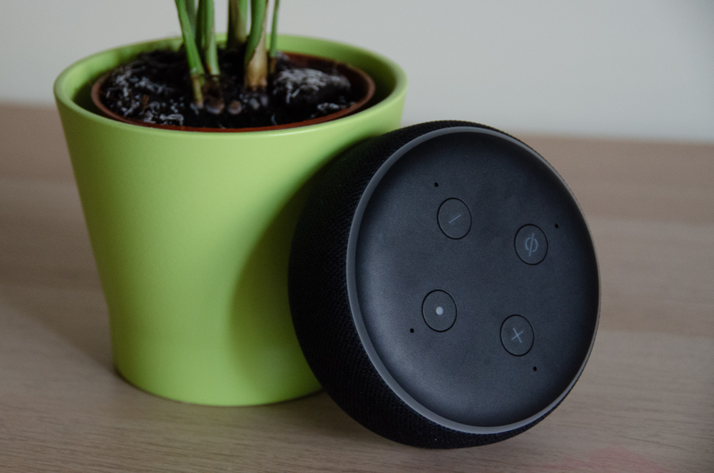 Illustration for article titled He probado todos los Amazon Echo para que tú no tengas que hacerlo